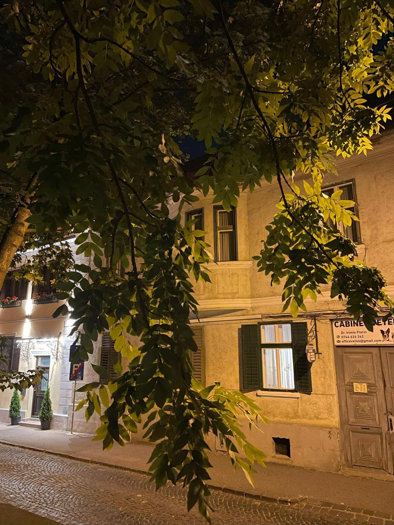 Studiopro44 Сибиу Экстерьер фото